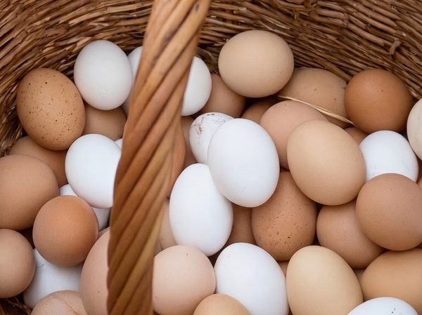 Huevos caseros