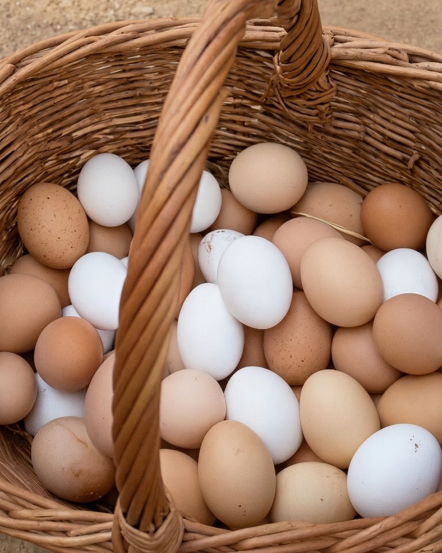 Huevos de campo